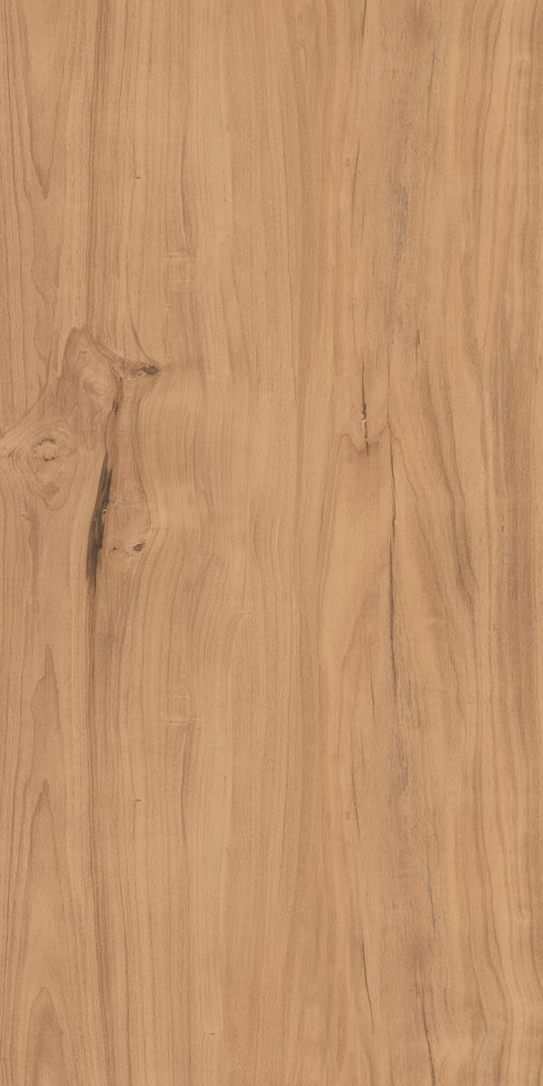 BEECH BROWN F3